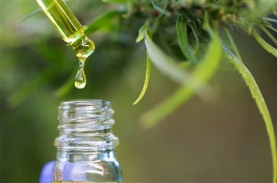 CBD vs THC: Dak kollu li għandek bżonn tkun taf