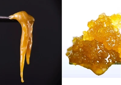 Resin Live vs Live Rosin: X'inhi d-differenza?