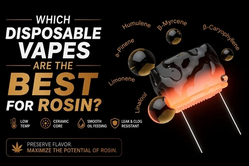 Liema Vapes Disposable Huma L-Aħjar Għal Rosin?